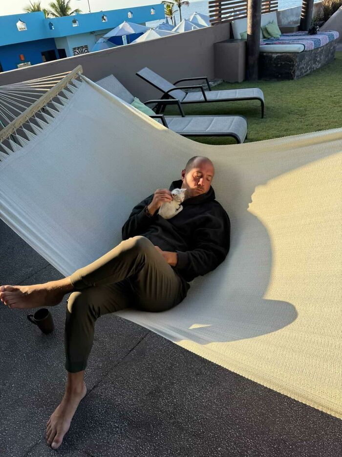 This Guy Thought He Was A &ldquo;Dog Person&rdquo; Until Rescue Kitten Lilo Changed His Mind