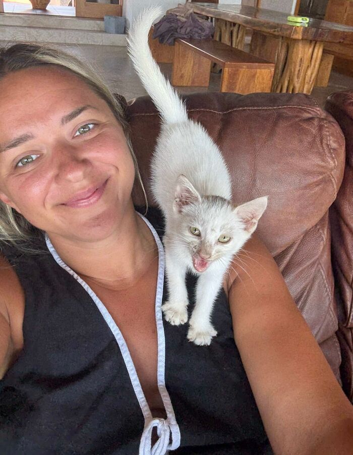 This Guy Thought He Was A &ldquo;Dog Person&rdquo; Until Rescue Kitten Lilo Changed His Mind