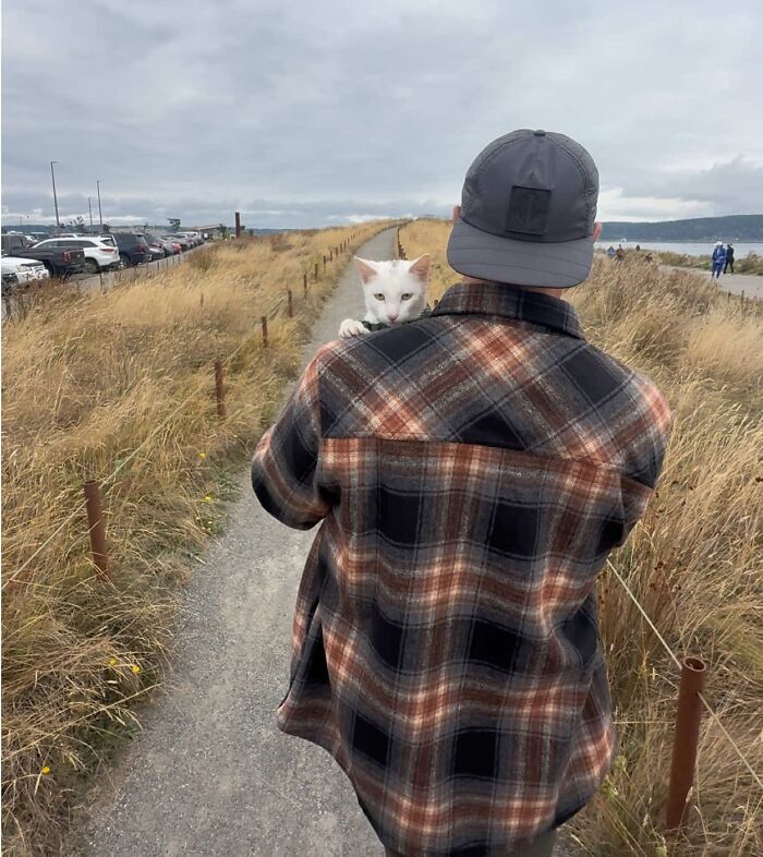 This Guy Thought He Was A &ldquo;Dog Person&rdquo; Until Rescue Kitten Lilo Changed His Mind