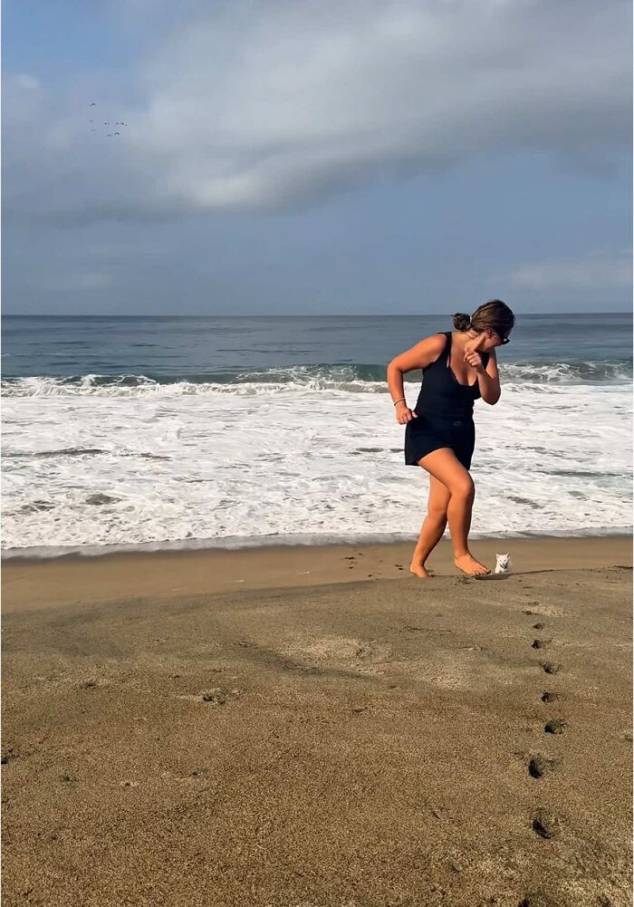 This Guy Thought He Was A &ldquo;Dog Person&rdquo; Until Rescue Kitten Lilo Changed His Mind