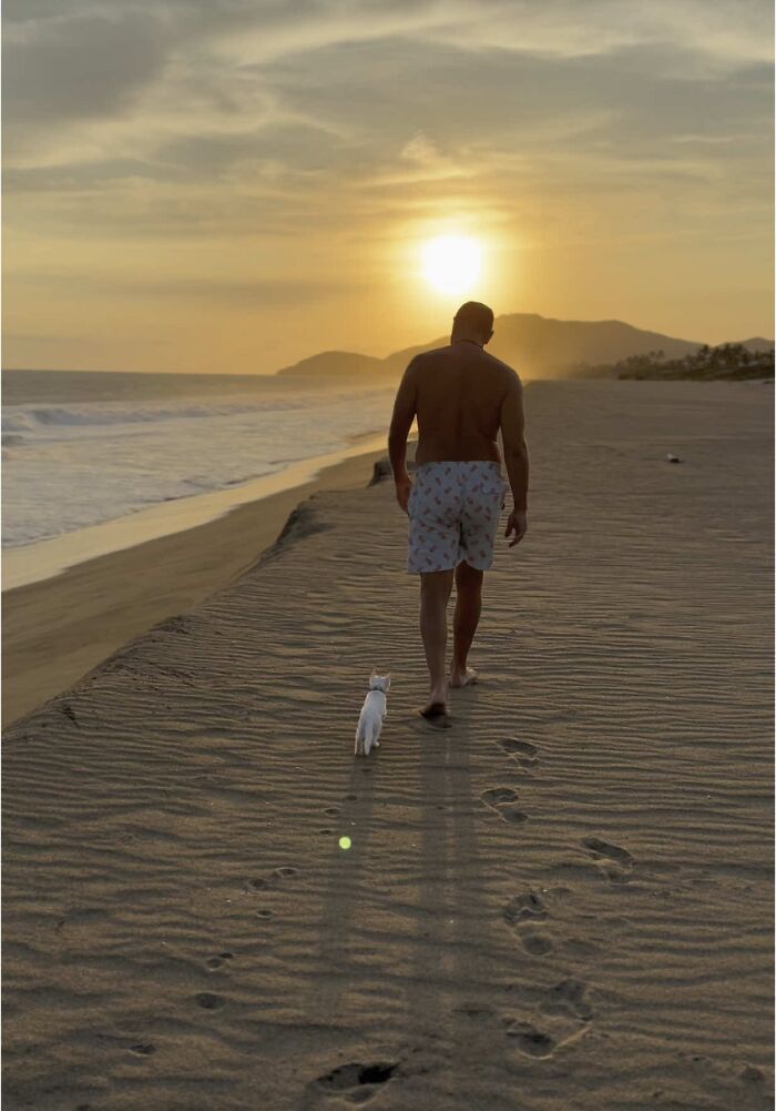 This Guy Thought He Was A &ldquo;Dog Person&rdquo; Until Rescue Kitten Lilo Changed His Mind