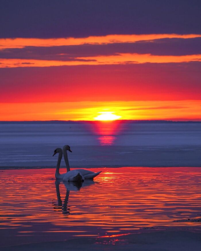 43 Gorgeous Sunset Photos From Around The World Shared By This Community