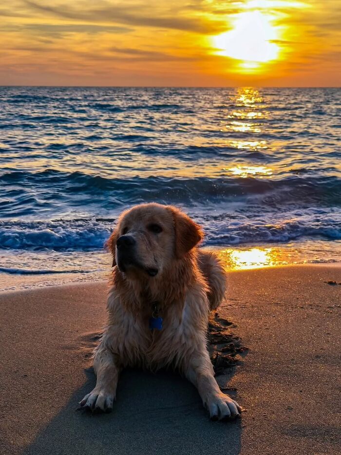 43 Gorgeous Sunset Photos From Around The World Shared By This Community