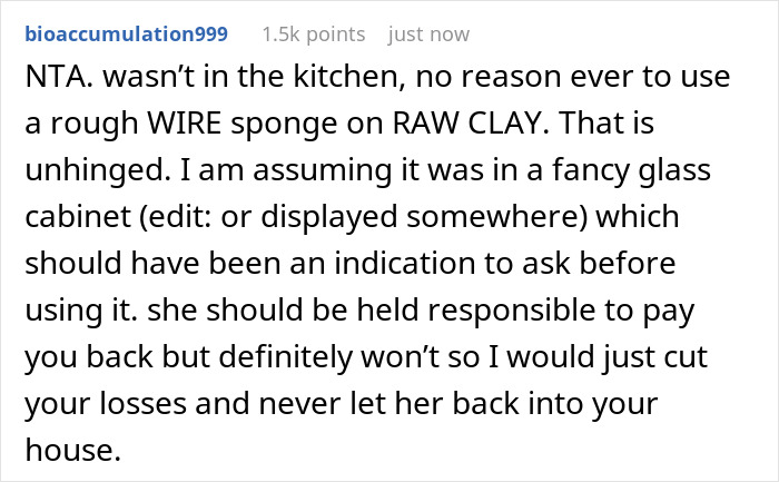 Pet-Sitting Friend Gets Too Comfy, Ruins Woman&rsquo;s $500 Yixing Teapot, Gets Told To Replace It