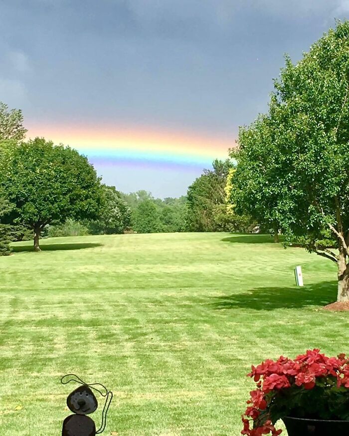 69 Nature Pics That Are As Interesting As They Are Beautiful