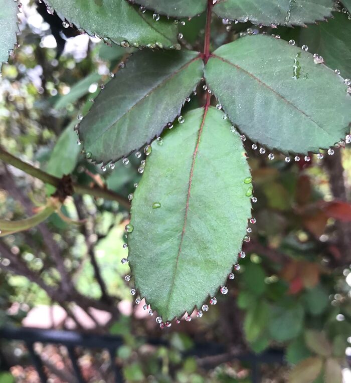 69 Nature Pics That Are As Interesting As They Are Beautiful