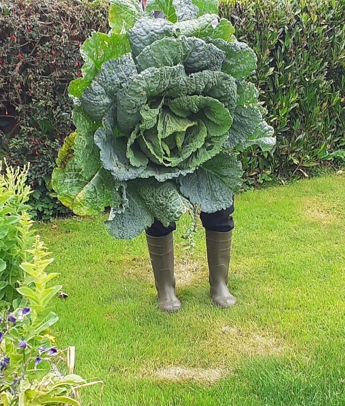 69 Nature Pics That Are As Interesting As They Are Beautiful