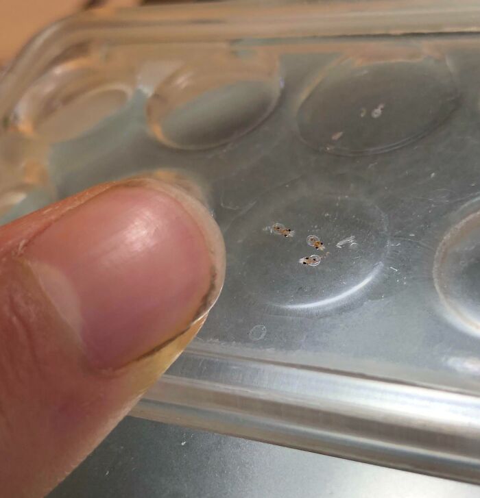 69 Nature Pics That Are As Interesting As They Are Beautiful