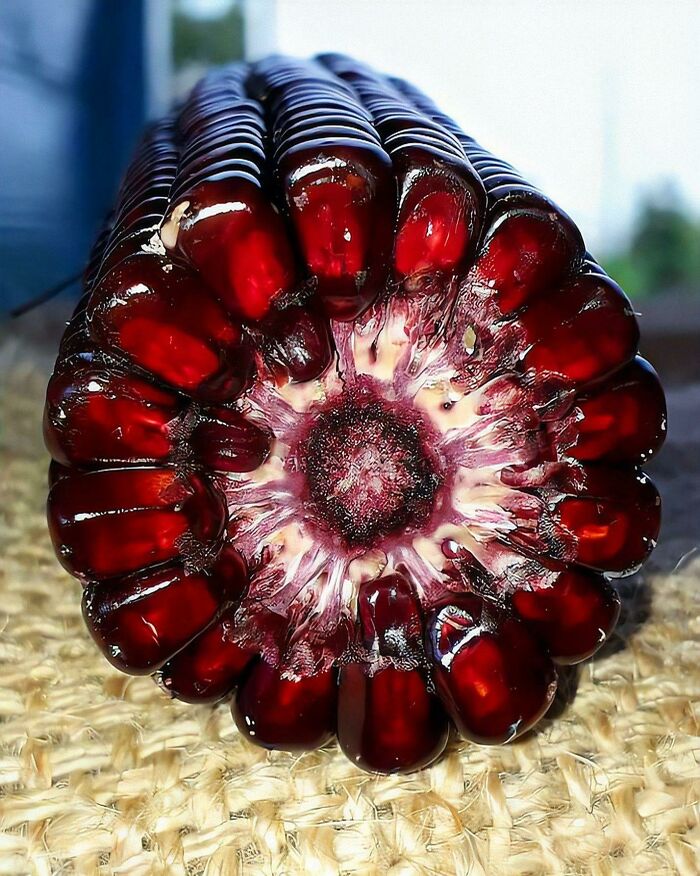 69 Nature Pics That Are As Interesting As They Are Beautiful