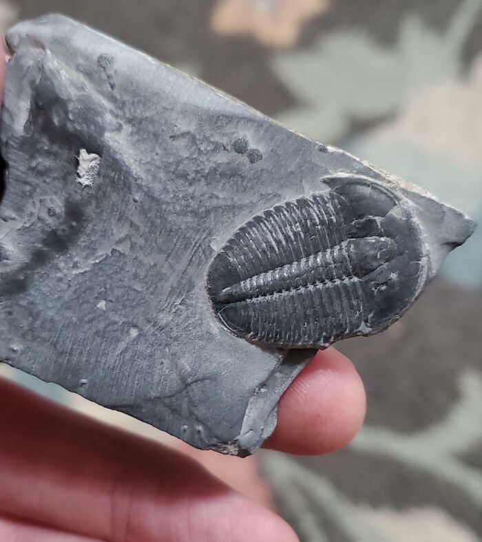 69 Nature Pics That Are As Interesting As They Are Beautiful