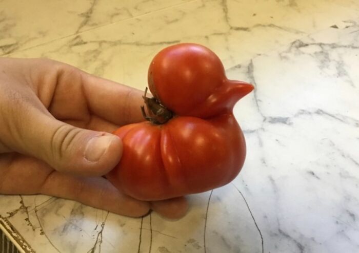 69 Nature Pics That Are As Interesting As They Are Beautiful