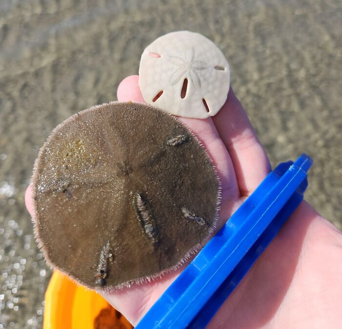 69 Nature Pics That Are As Interesting As They Are Beautiful