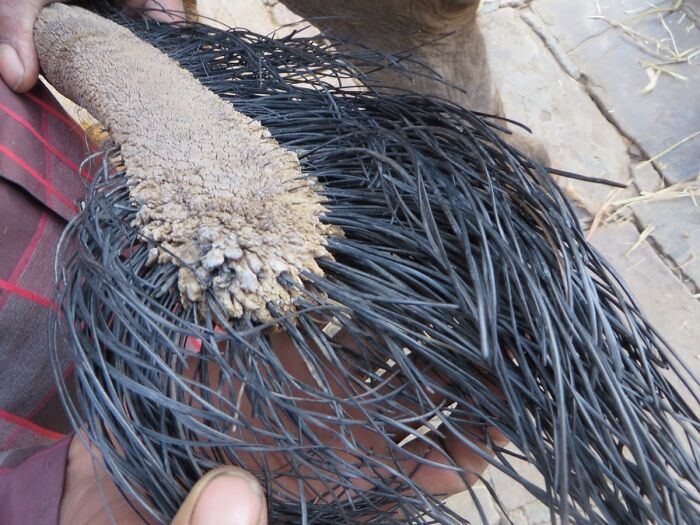 69 Nature Pics That Are As Interesting As They Are Beautiful