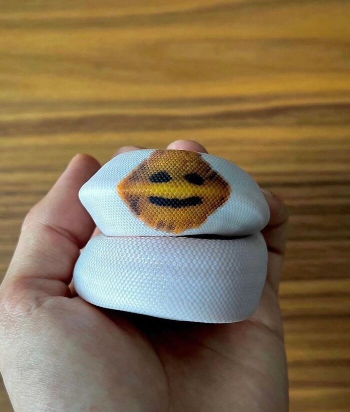 30 Photos That Look Impossible At First Glance: Some Are Perfect Timing, Some Are Genius Illusions