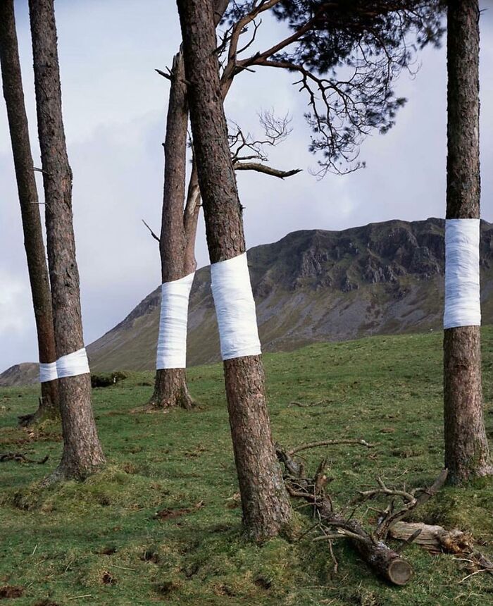 30 Photos That Look Impossible At First Glance: Some Are Perfect Timing, Some Are Genius Illusions