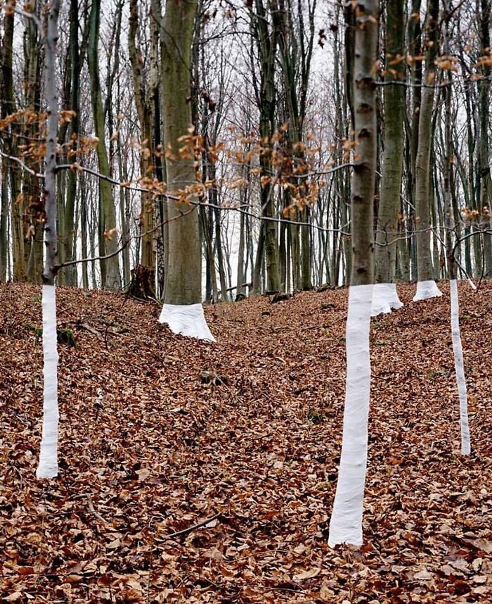 30 Photos That Look Impossible At First Glance: Some Are Perfect Timing, Some Are Genius Illusions