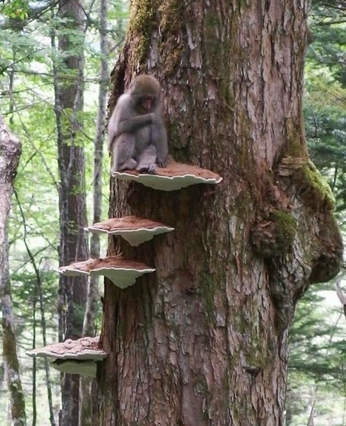 30 Photos That Look Impossible At First Glance: Some Are Perfect Timing, Some Are Genius Illusions