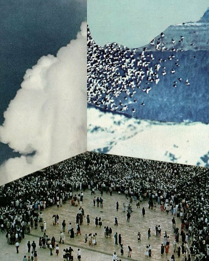 30 Photos That Look Impossible At First Glance: Some Are Perfect Timing, Some Are Genius Illusions