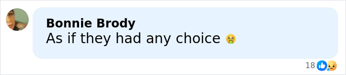 Bill Gates Issues Groveling Apology Amid Epstein Scandal As He Admits To “Affairs With Two Russians”