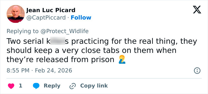 “Karma”: Two Students Who Blew Up Sheep With Fireworks After Violent Attack Learn Their Fate