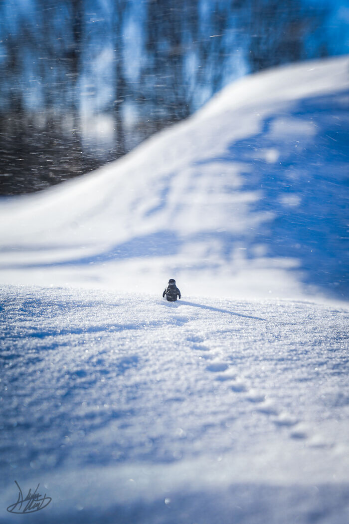 He Uses Backyards And Landscapes To Turn LEGO Models Into Cinematic Worlds (34 Pics)