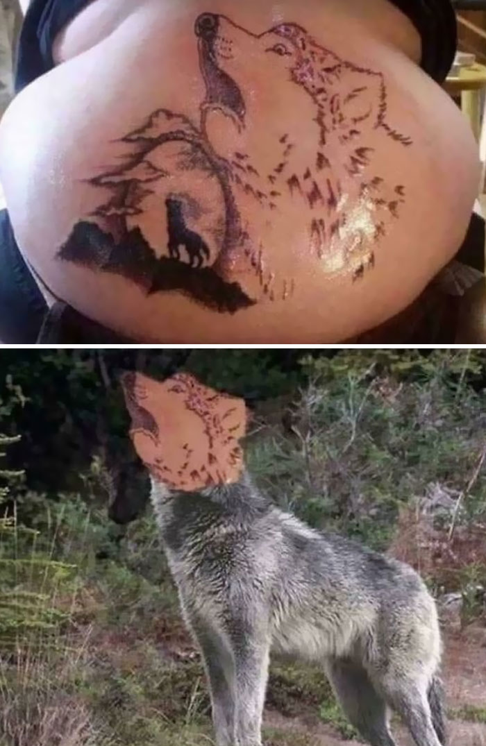 79 People Who Got Forever Marked For Their Own Stupidity With These Terrible Tattoos (New Pics)