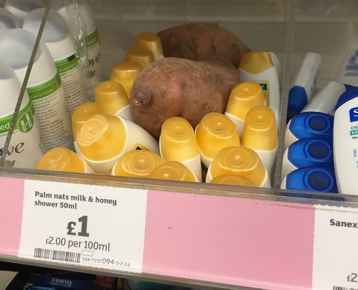 57 People Who Are So Lazy They Might Make You Feel Better About Taking A Day Off 57 People Who Are So Lazy They Might Make You Feel Better About Taking A Day Off