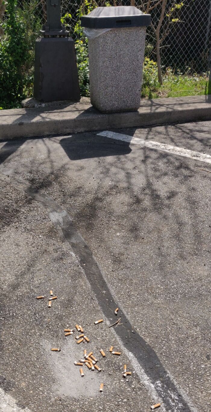 57 People Who Are So Lazy They Might Make You Feel Better About Taking A Day Off 57 People Who Are So Lazy They Might Make You Feel Better About Taking A Day Off