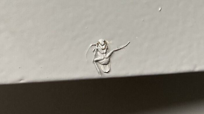 57 People Who Are So Lazy They Might Make You Feel Better About Taking A Day Off 57 People Who Are So Lazy They Might Make You Feel Better About Taking A Day Off