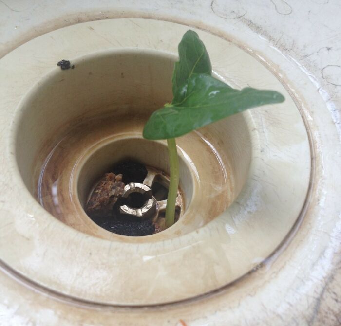 57 People Who Are So Lazy They Might Make You Feel Better About Taking A Day Off 57 People Who Are So Lazy They Might Make You Feel Better About Taking A Day Off