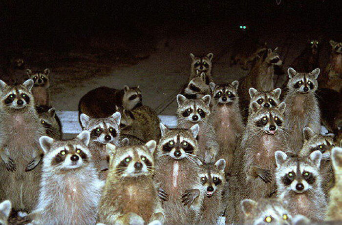 69 Times Graveyard Shift Workers Got So Scared Or Confused They Still Don’t Have Answers To This Day