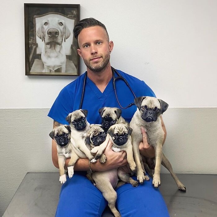 This Instagram Page Shows Heartwarming Photos Of Attractive Men And Their Dogs (49 Pics)