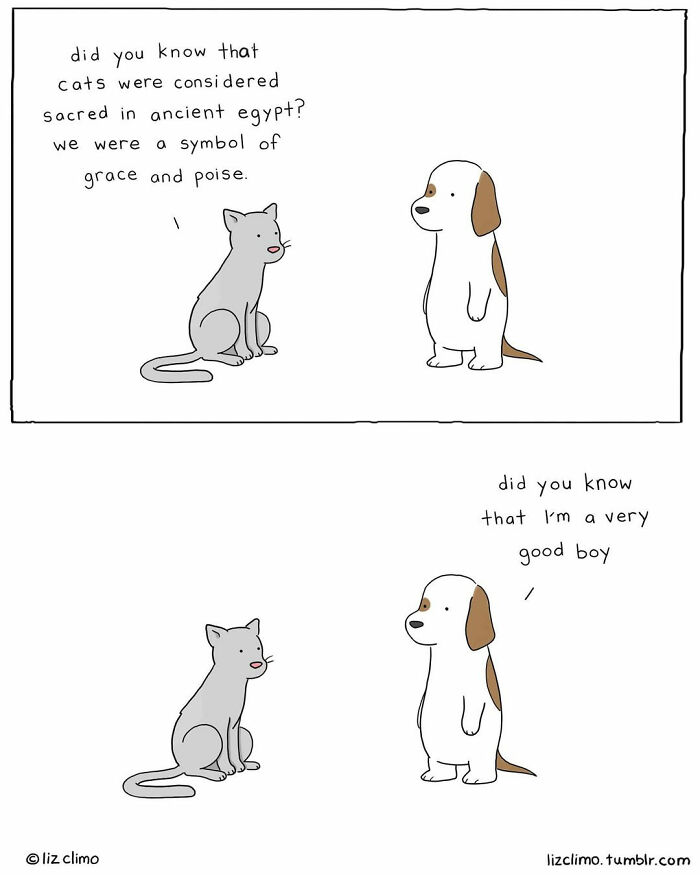 38 Funny Everyday Moments Of Talking Animals Illustrated By “The Simpsons” Animator Liz Climo (New Comics)