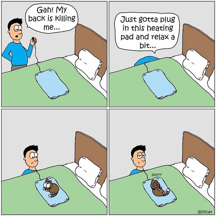 These 29 New &ldquo;Iizcat&rdquo; Comics Show What It&rsquo;s Really Like Living With A Tiny Furry Feline Boss