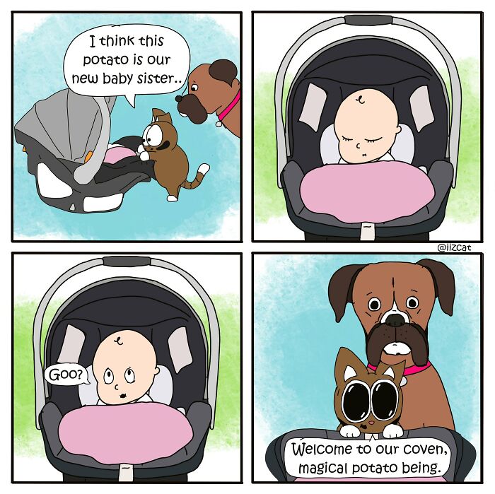 These 29 New &ldquo;Iizcat&rdquo; Comics Show What It&rsquo;s Really Like Living With A Tiny Furry Feline Boss