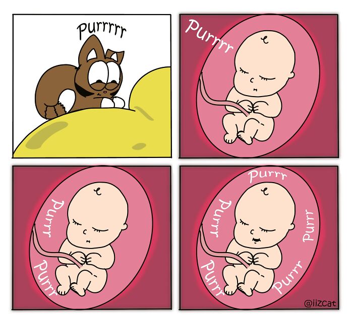 These 29 New &ldquo;Iizcat&rdquo; Comics Show What It&rsquo;s Really Like Living With A Tiny Furry Feline Boss