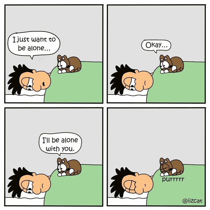 These 29 New &ldquo;Iizcat&rdquo; Comics Show What It&rsquo;s Really Like Living With A Tiny Furry Feline Boss