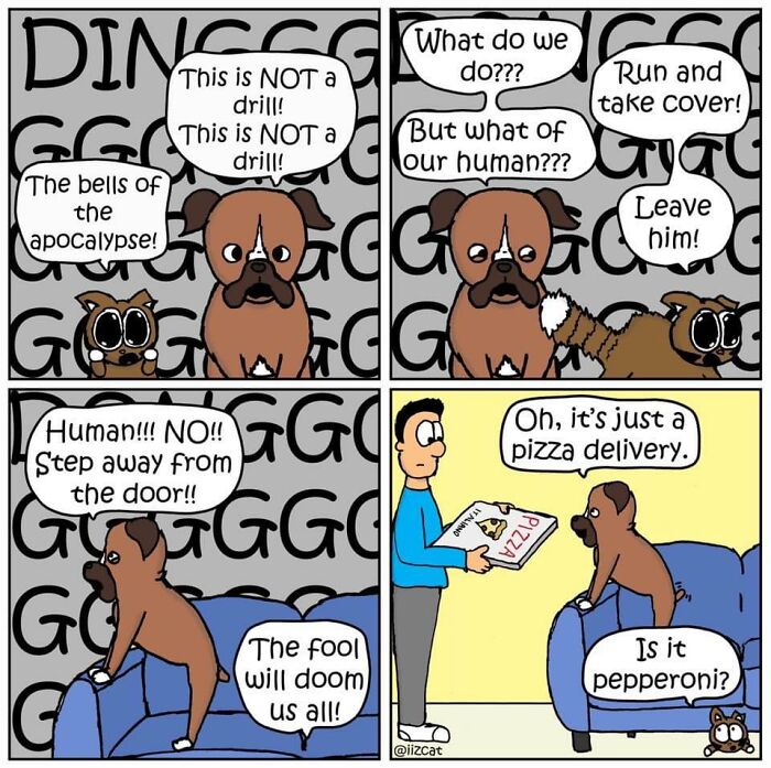 These 29 New &ldquo;Iizcat&rdquo; Comics Show What It&rsquo;s Really Like Living With A Tiny Furry Feline Boss