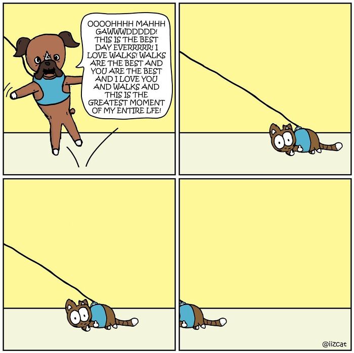 These 29 New &ldquo;Iizcat&rdquo; Comics Show What It&rsquo;s Really Like Living With A Tiny Furry Feline Boss