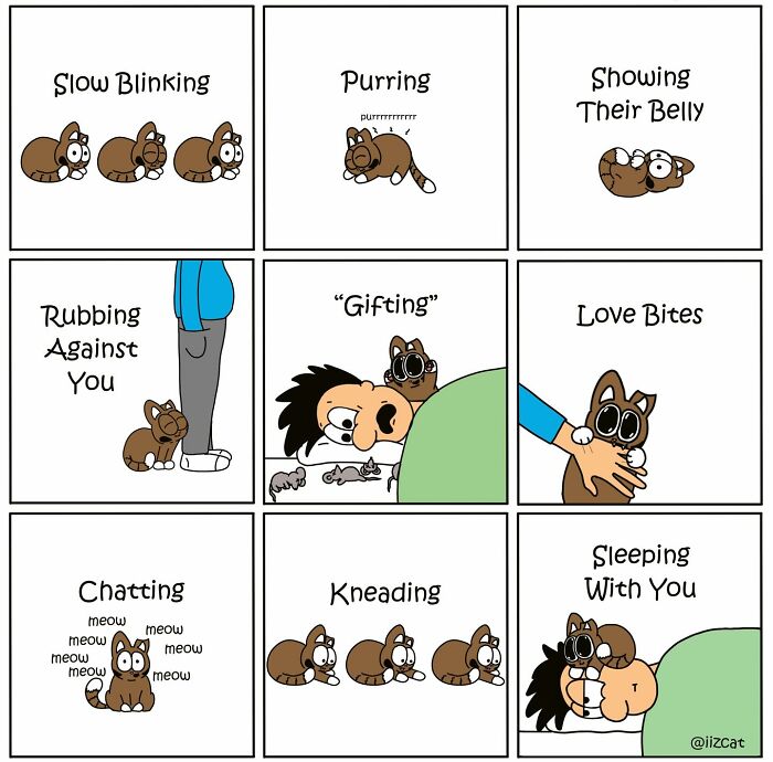 These 29 New &ldquo;Iizcat&rdquo; Comics Show What It&rsquo;s Really Like Living With A Tiny Furry Feline Boss