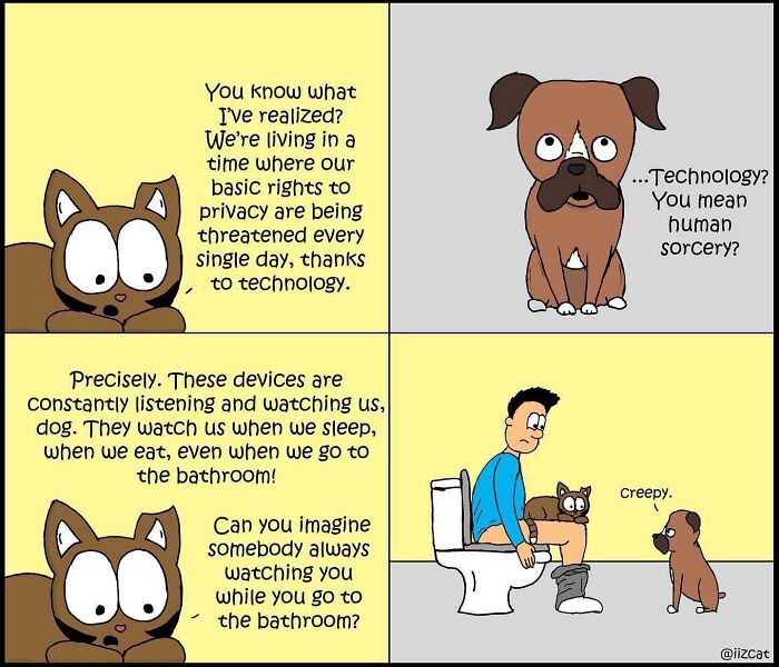 These 29 New &ldquo;Iizcat&rdquo; Comics Show What It&rsquo;s Really Like Living With A Tiny Furry Feline Boss