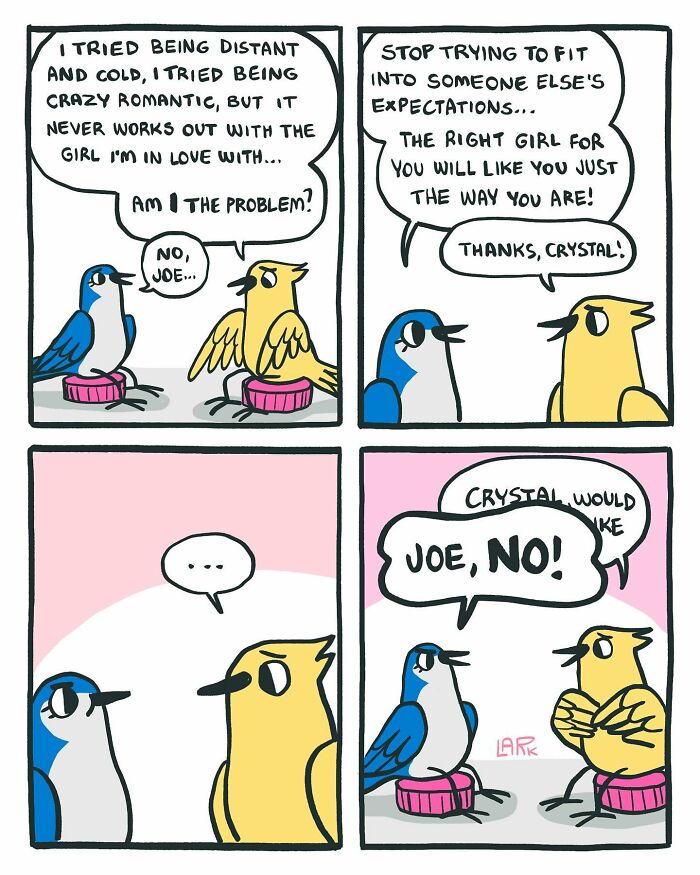58 New Comics By Artist Lark About Birds Working Office Jobs For A Cat Boss