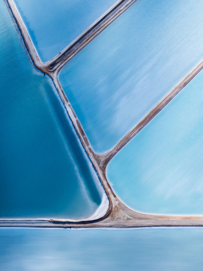 Nature In Focus: Celebrating The 2025 IPA Award Winners