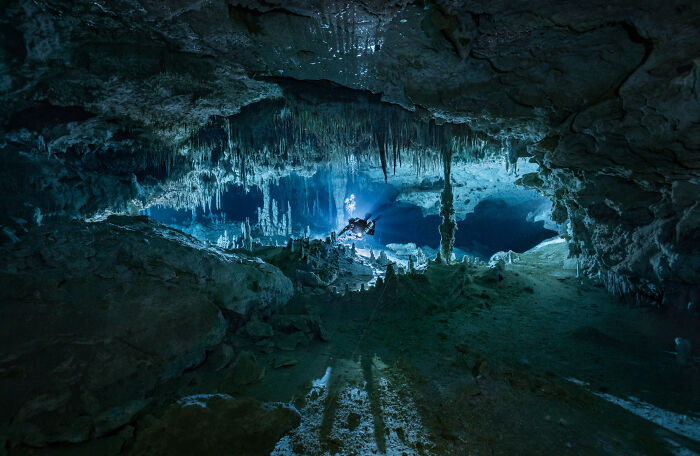 Nature In Focus: Celebrating The 2025 IPA Award Winners