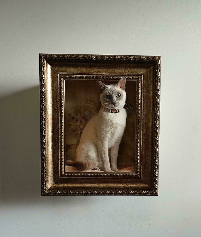 49 Incredibly Beautiful Pics Of Animals That Look Just Like Renaissance Art Masterpieces