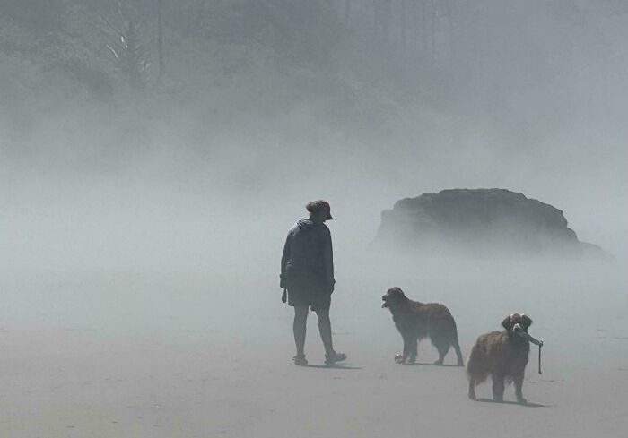 49 Incredibly Beautiful Pics Of Animals That Look Just Like Renaissance Art Masterpieces