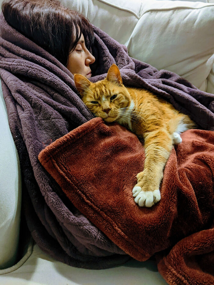 49 Incredibly Beautiful Pics Of Animals That Look Just Like Renaissance Art Masterpieces