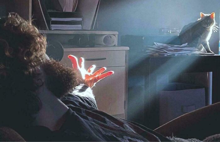 49 Incredibly Beautiful Pics Of Animals That Look Just Like Renaissance Art Masterpieces