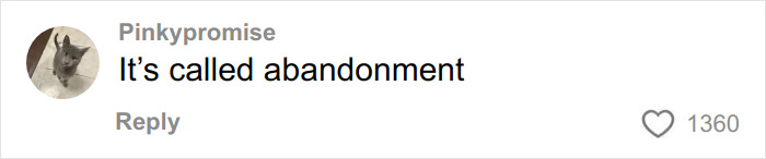Stunning Twist As Mom Who Vanished 25 Years Ago Is Arrested Just Days After Family&rsquo;s Discovery