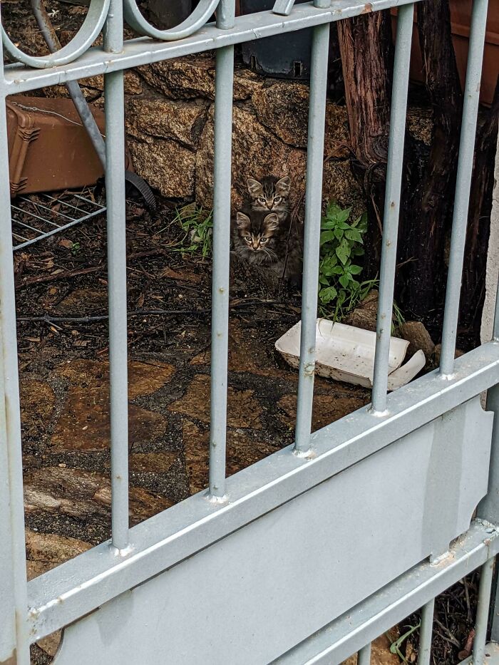 ‘When You See It’: 111 Perfectly Camouflaged Things That Might Take You Ages To Find (New Pics) ‘When You See It’: 111 Perfectly Camouflaged Things That Might Take You Ages To Find (New Pics)